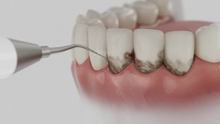 Reliable Dental contractor in Le Roy, IL by Dentist Open Now